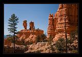 Red Canyon 20
